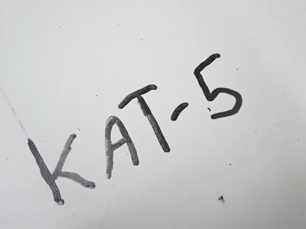 Gebrauchter Katalysator OEM TR-PSA-A001 für Citroen image 6