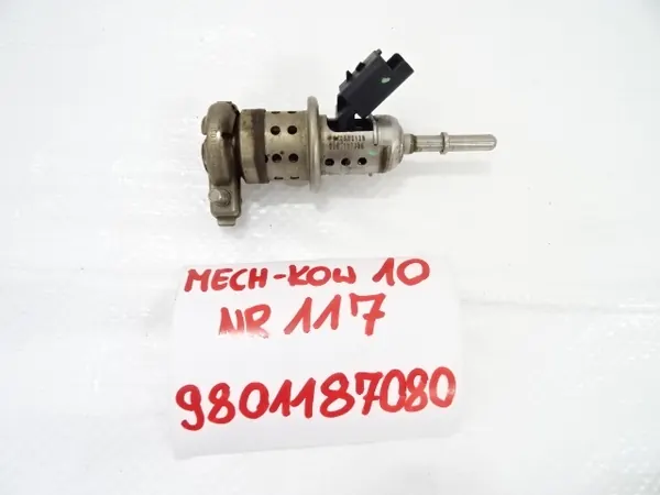 Inyector AdBlue OEM 9801187080 para Peugeot 3008 II image 10