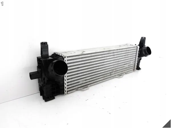 Intercooler Anteriore BMW X3 G01 X4 G02 image 2