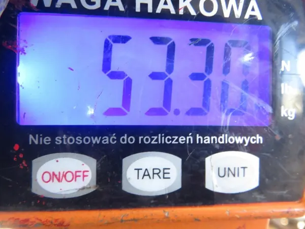 Hinterachsträger OEM BELKA TYŁ für Mercedes-Benz W168 HB image 9