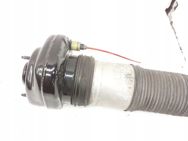 Hinterer linker Luftstoßdämpfer BMW OE R308617113 image 3