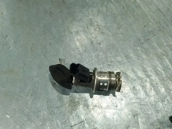 Injector AdBlue OEM 9802763880 para Peugeot 508 image 3