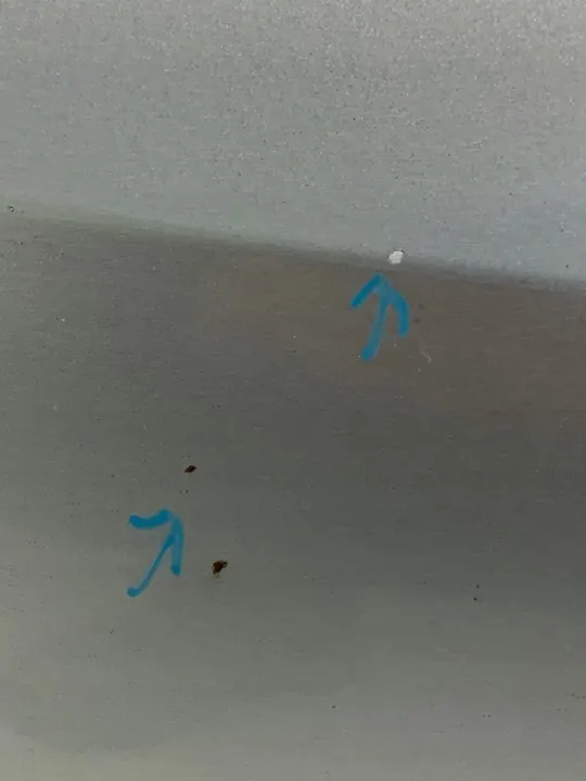 Takaluukku Skoda Fabia II Lift (2010-2014) LF7W image 5