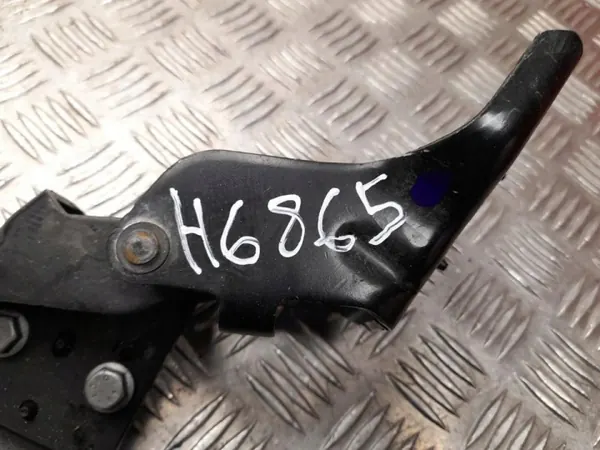Dörrgångjärn OEM 824132459R för Renault Kangoo III 2021 image 3