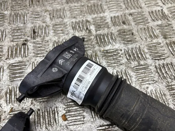 Ammortizzatore posteriore Peugeot 2008 II 2023 9836658080 image 4