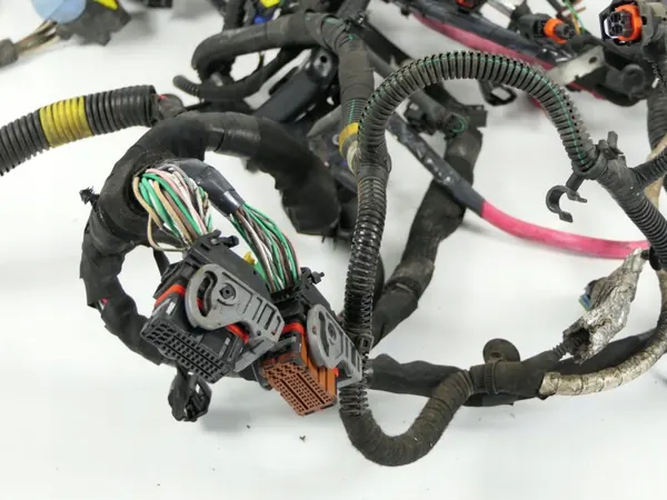 Harness Motor OEM 240111528R Renault Laguna III image 3