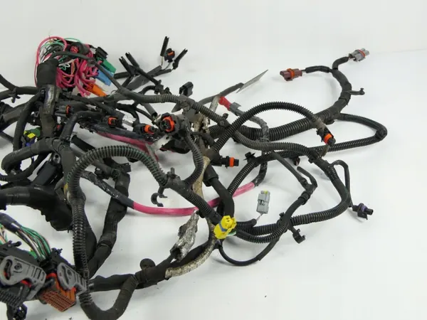 Harness Motor OEM 240111528R Renault Laguna III image 4