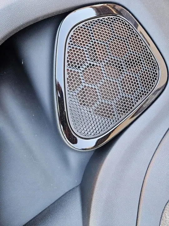 Painel da porta dianteira direita Renault Zoe 809005247R image 2