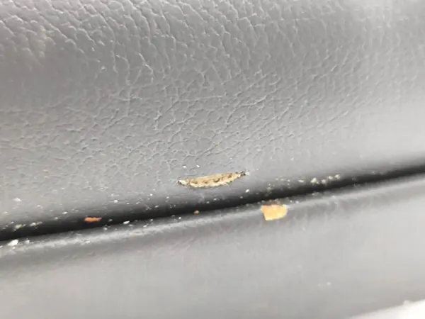 Honda Accord 2009 taka käsinoja OEM AMD118246 image 6
