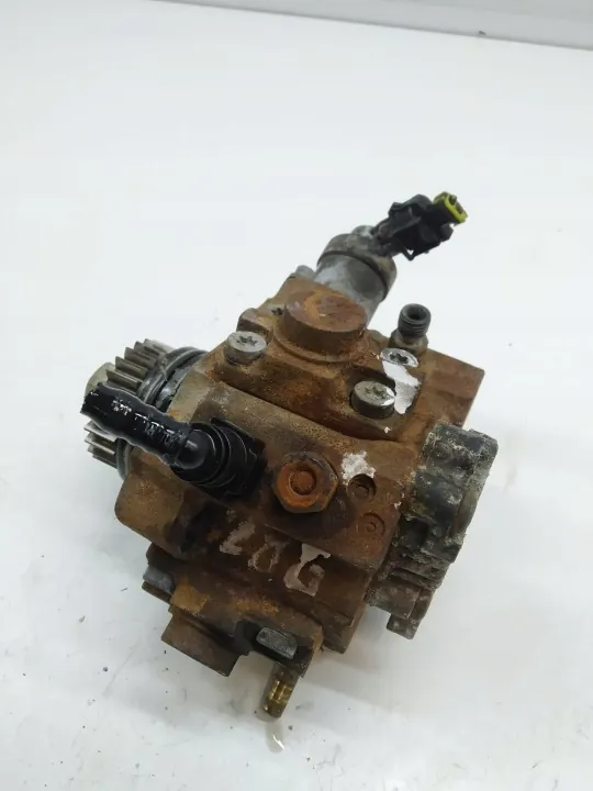 OEM 0445010223 ruiskutuspumppu Renault Koleosille image 5