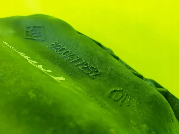 Oljesump Renault Trafic Laguna Megane 1.9 DCI 8200477252 image 5