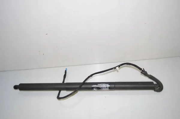 Amortiguador Derecho Maletero OEM 51247232004 BMW X3 F25 image 3