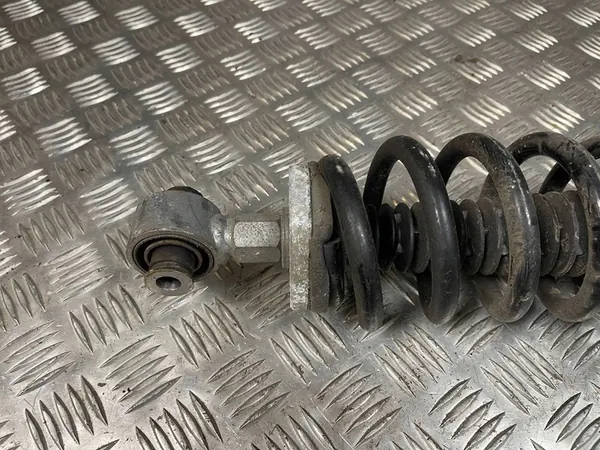 Ammortizzatore posteriore DS Automobiles 7 Crossback image 3