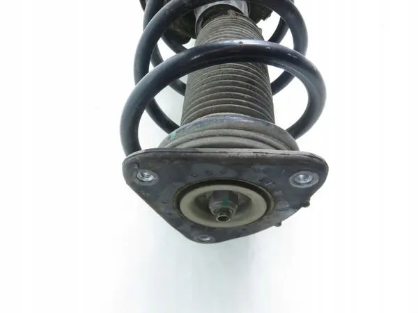 FoMoCo Oikea Etuovi OEM 4M5118045ACC image 4