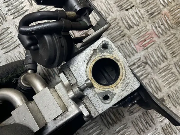 Refroidisseur de gaz d'échappement Audi OE 059131508G image 4