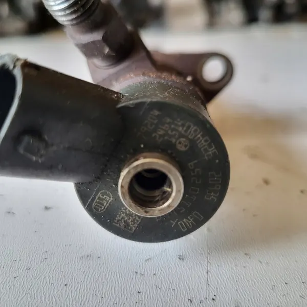 Einspritzdüsen OEM 0445110259 für Peugeot Citroen 1.6HDI image 3