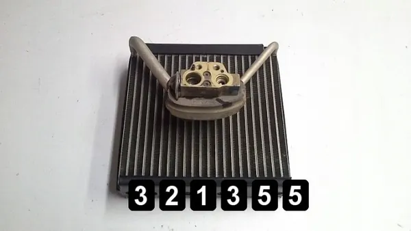 VW Polo ilmastointihöyrystin OEM AM-321355 image 2