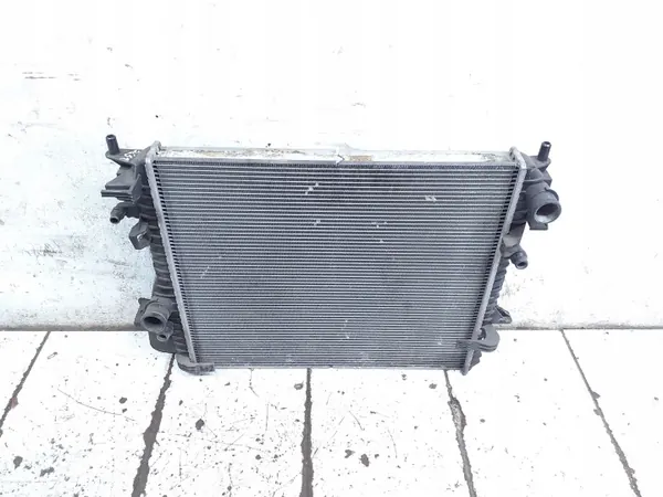 Radiateur d'eau Jaguar XJ X351 OEM ARA326954 image 2