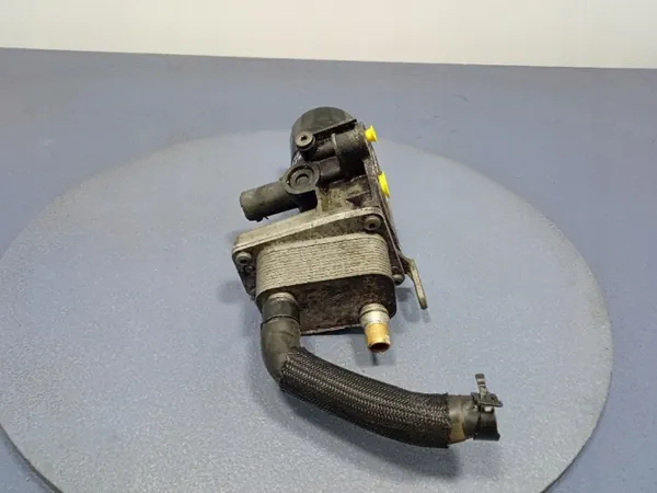OEM 9807594380 Ölfiltergehäuse für Citroen DS5 2.0 HDI image 3