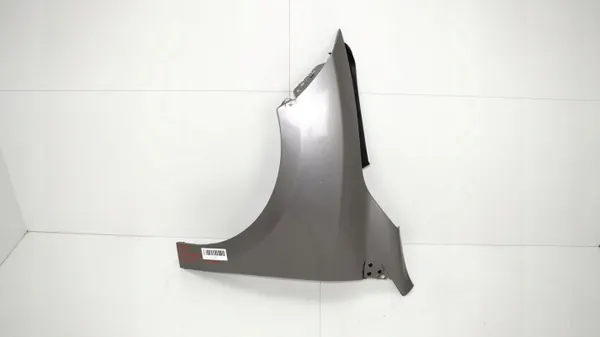 Para-lamas dianteiro esquerdo OEM 360168800 Renault Megane III image 2
