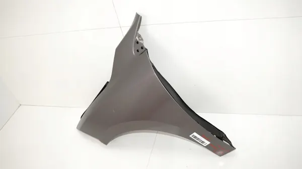 Para-lamas dianteiro esquerdo OEM 360168800 Renault Megane III image 4