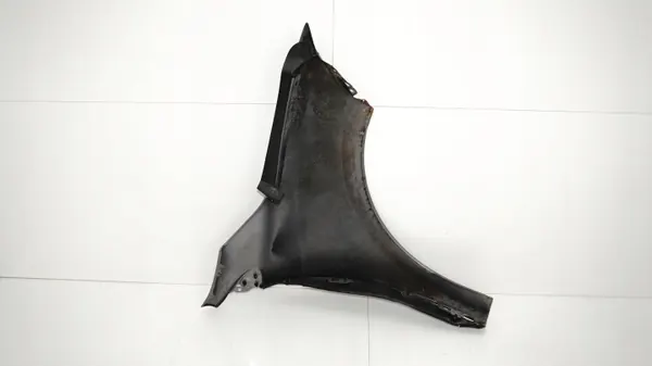 Para-lamas dianteiro esquerdo OEM 360168800 Renault Megane III image 9