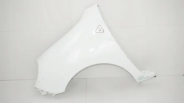 Para-lamas dianteiro esquerdo OEM 360200820 para Renault Kangoo II image 2
