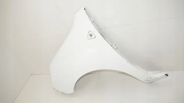 Para-lamas dianteiro esquerdo OEM 360200820 para Renault Kangoo II image 3