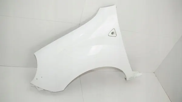 Para-lamas dianteiro esquerdo OEM 360200820 para Renault Kangoo II image 4