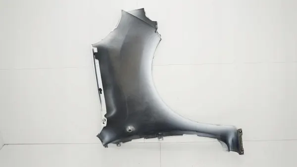 Para-lamas dianteiro esquerdo OEM 360200820 para Renault Kangoo II image 7