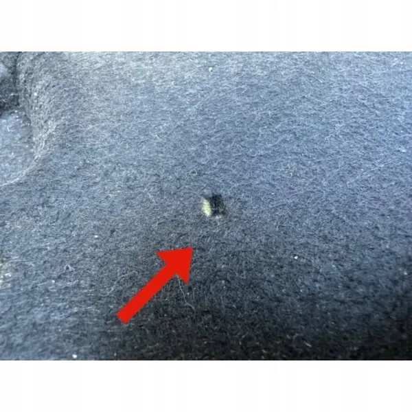 Isolamento capô ESI801 para Renault Clio III - OEM image 7