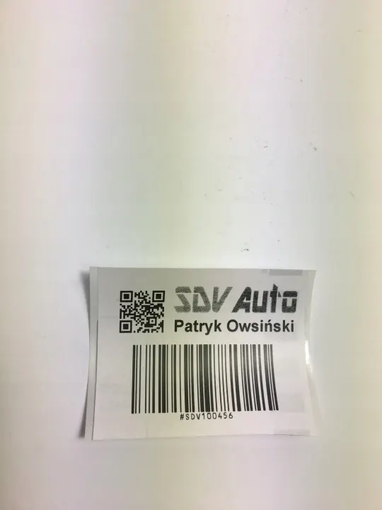 Cerrojo Puerta + Bomba Actuador Delantero Derecho OEM SDV100456 image 10