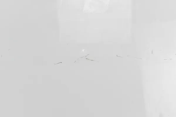 Motorhuv 651001209R Renault Kangoo II III 2013-21 image 6