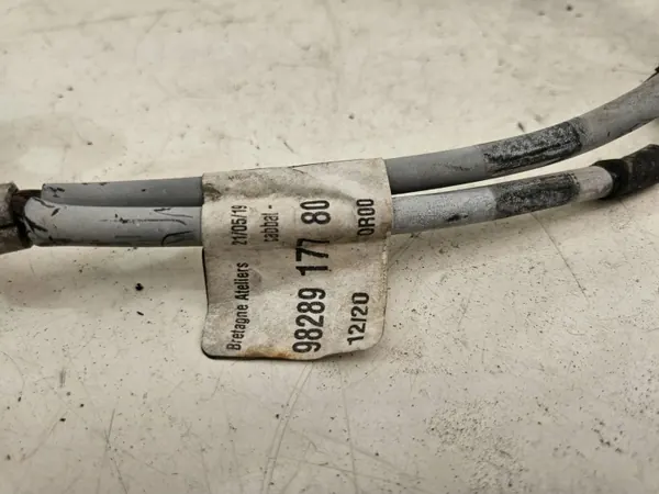 Minuspol OEM 9828917780 för Peugeot Expert image 3