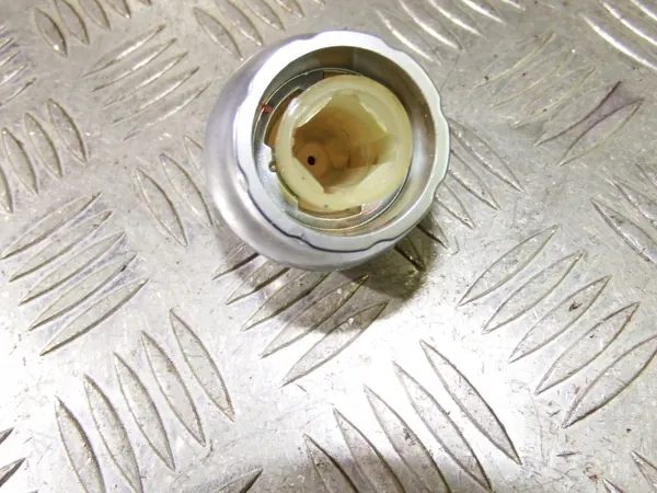 Pookknop OEM 14832 voor Renault Laguna III 2.0 image 4