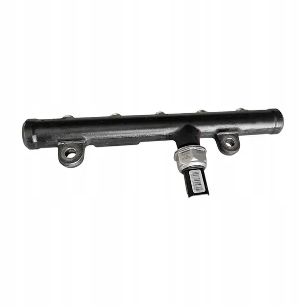 Brandstofrail 9681649580 Citroen Peugeot Ford Fiat 2.0 HDI image 4