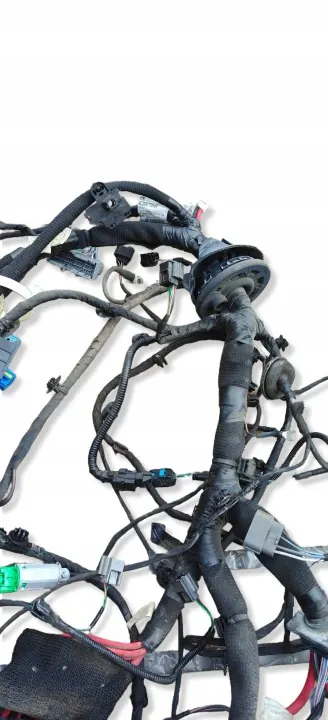 Faisceau électrique OEM 403887684R Renault Megane IV image 4