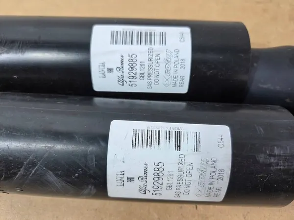 Ammortizzatori posteriori sinistro e destro Fiat Qubo 51929885 image 2