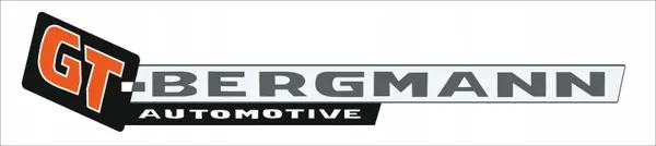 GT-Bergmann GT30-030 Stuurinrichting Nieuw image 3