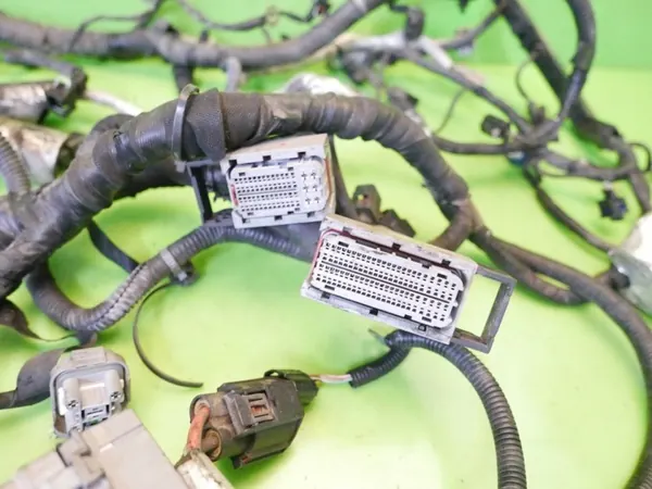 Moottorin johdotus CHEVROLET CAPTIVA 2.2L diesel 95273301 image 2