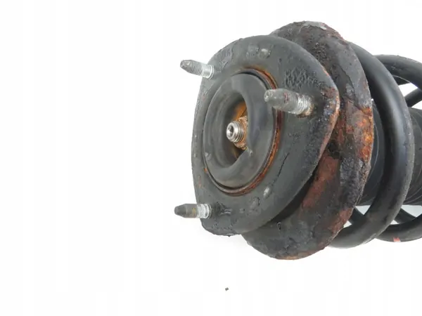 MCPERSON PP M878759 Delantero Derecho para Grand Vitara II image 3