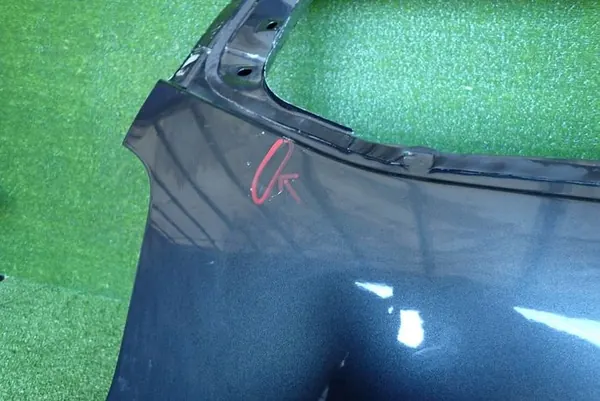 DACIA DUSTER II LIFT 21- porta traseira image 6