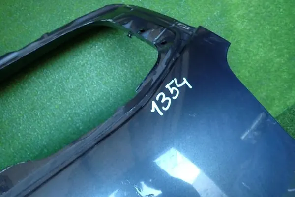 DACIA DUSTER II LIFT 21- porta traseira image 8