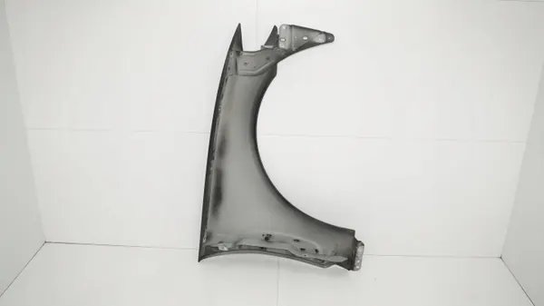 Para-lama esquerdo dianteiro Jaguar XF 07-11 OEM 360193865 image 9