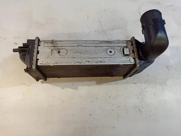 Radiador Intercooler Citroen C5 I image 2