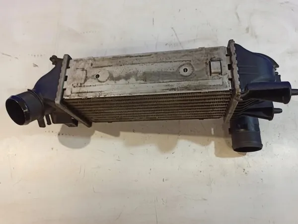 Radiador Intercooler Citroen C5 I image 3