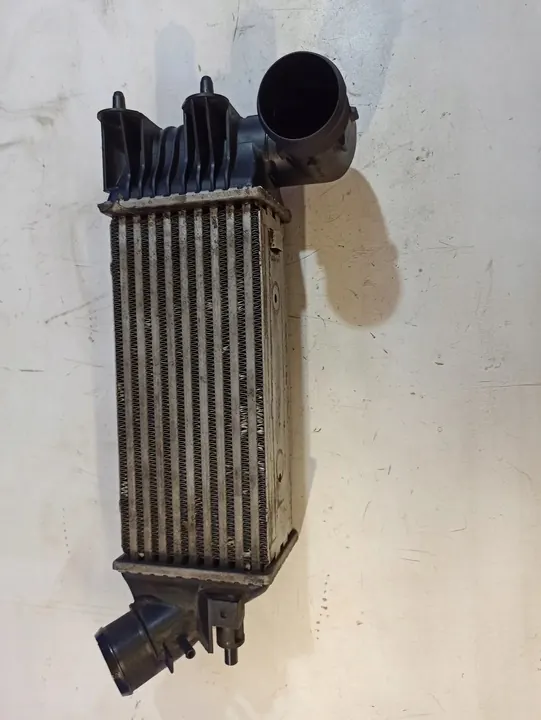 Radiador Intercooler Citroen C5 I image 4