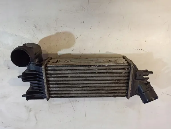 Radiador Intercooler Citroen C5 I image 5