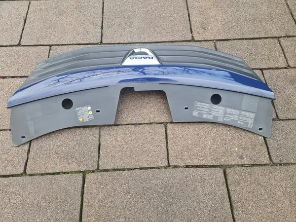 DACIA SANDERO I Front Bumper Grille 8200735104 image 6