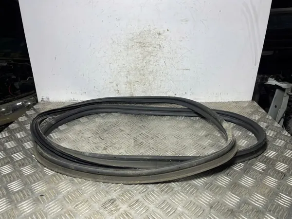 Joint de porte OEM FOB22141 pour Hyundai Kona 2018 image 2